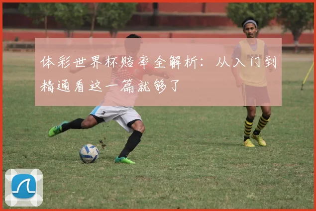 体彩世界杯赔率全解析：从入门到精通看这一篇就够了