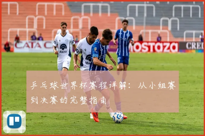 乒乓球世界杯赛程详解：从小组赛到决赛的完整指南