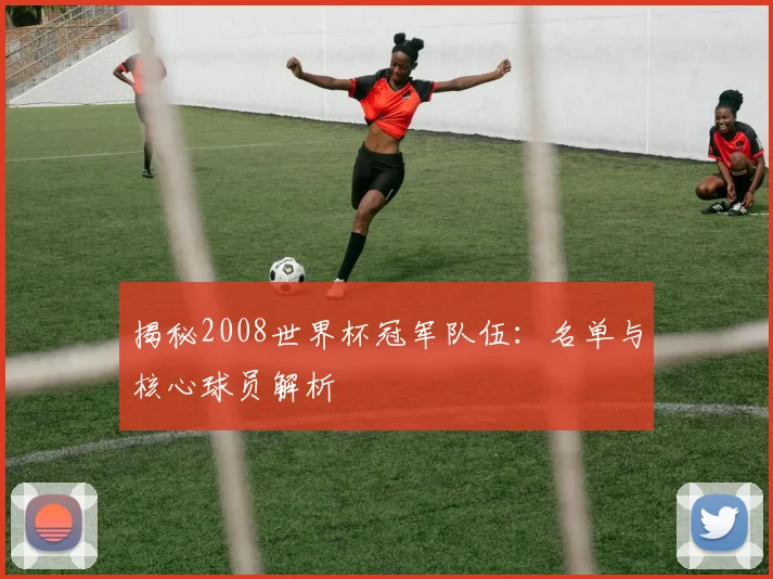 揭秘2008世界杯冠军队伍：名单与核心球员解析
