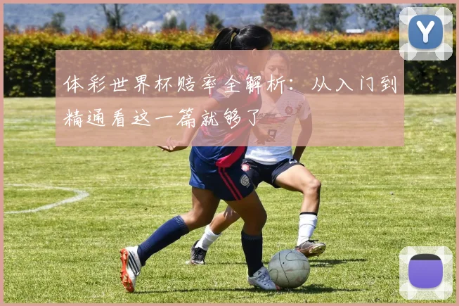 体彩世界杯赔率全解析:从入门到精通看这一篇就够了