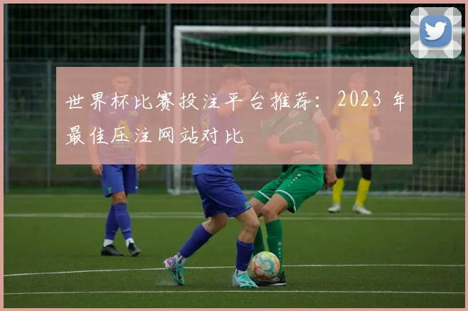 世界杯比赛投注平台推荐：2023 年最佳压注网站对比