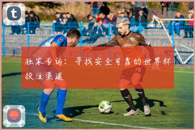 独家专访：寻找安全可靠的世界杯投注渠道
