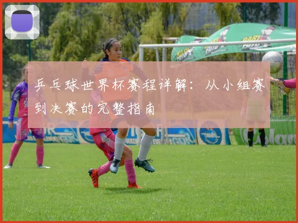 乒乓球世界杯赛程详解：从小组赛到决赛的完整指南