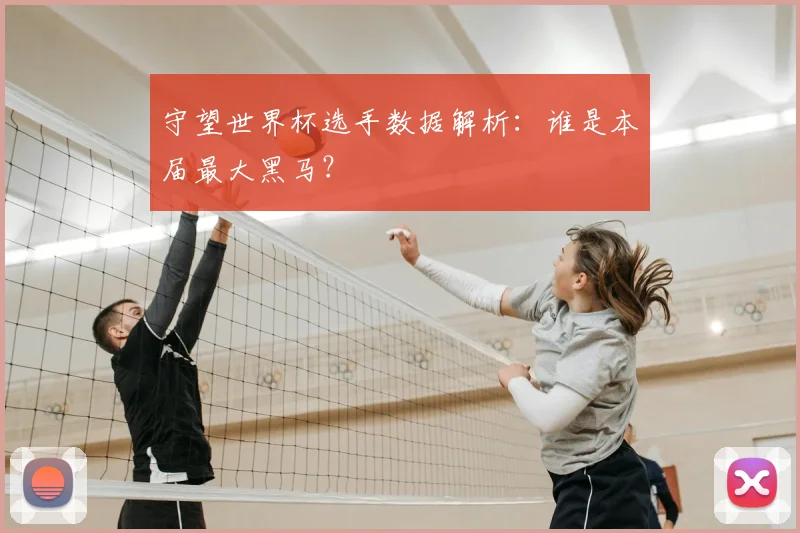 守望世界杯选手数据解析：谁是本届最大黑马？