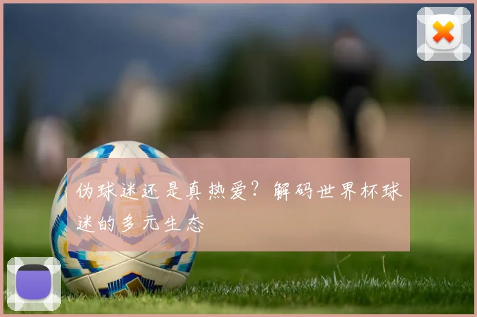 伪球迷还是真热爱？解码世界杯球迷的多元生态