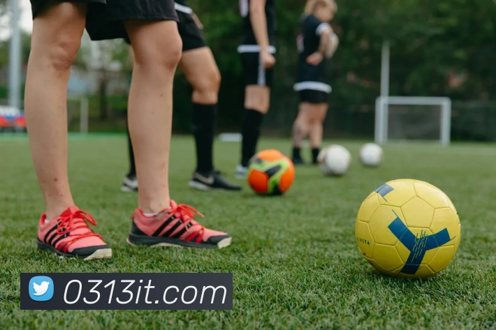 mksports在线登录入口平台生态图