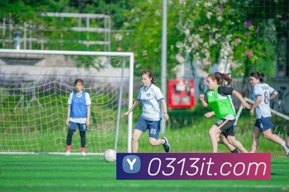 beat365在线唯一官网登录APP 体育赛事宣传图