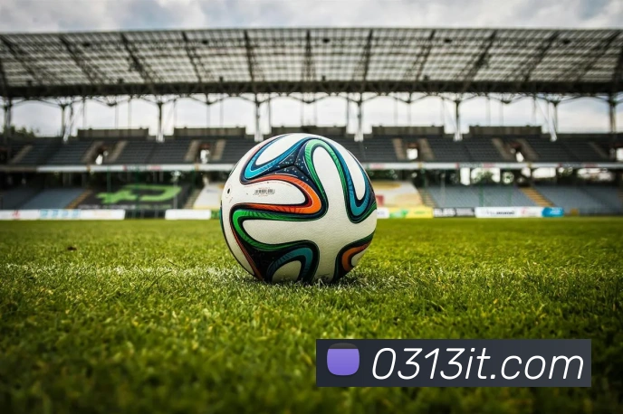 mksports在线登录入口全站App